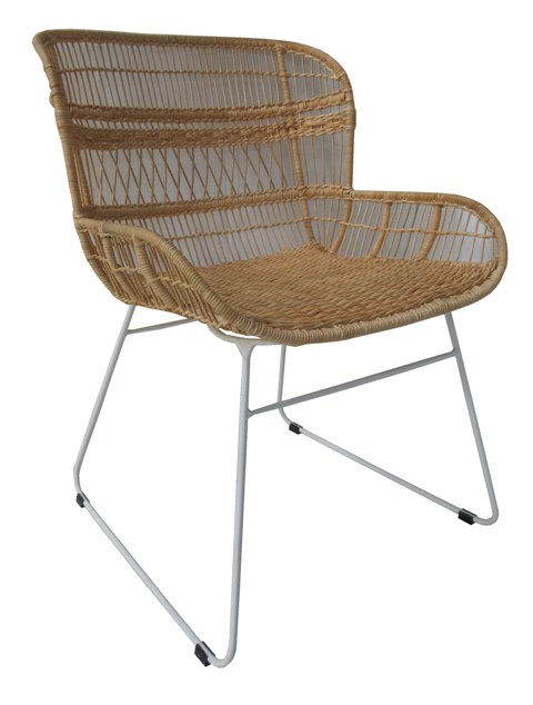 Πολ.Rosie J820104