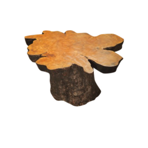 Χωρίς τίτλο1 7